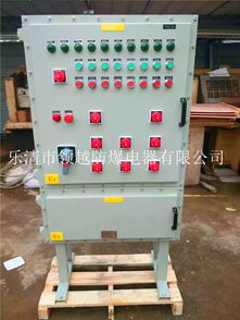 現(xiàn)場(chǎng)一控二電機(jī)防爆箱通訊設(shè)備的技術(shù)原理與應(yīng)用