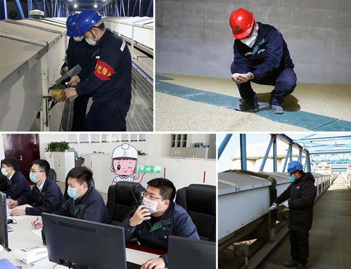 金光糧油碼頭保安巡更與家政服務(wù)一體化管理方案