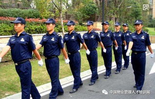 優(yōu)化社區(qū)服務(wù) 物業(yè)保安規(guī)范與家政服務(wù)的協(xié)同管理
