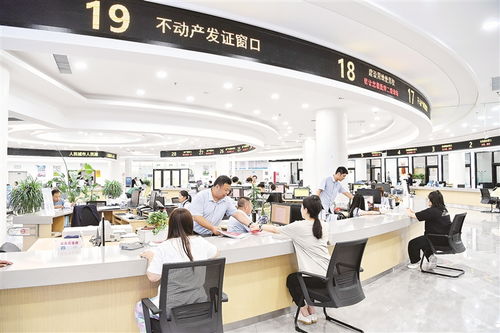 對(duì)話丨形成狠抓落實(shí)的好局面——聚焦物業(yè)管理（不含保安服務(wù)）
